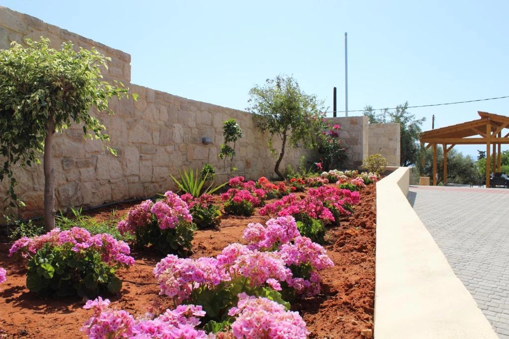Casa Manolesos gardens with flowers and pergola
